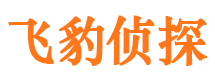 勐腊外遇调查取证